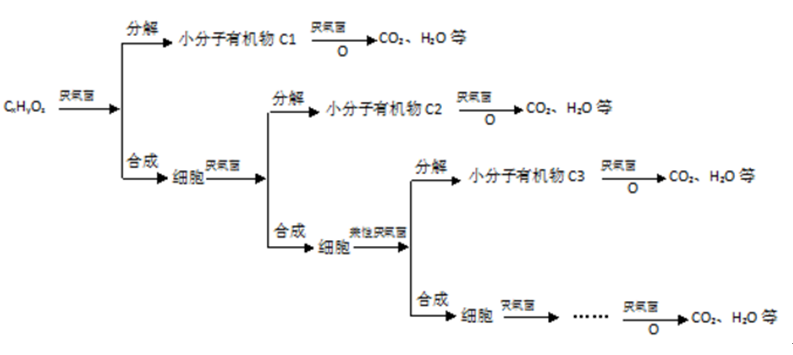 一体化生活废水处理设备